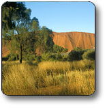 Uluru - Kata Tjuta National Park - Surfers Gold Coast 0