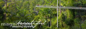 Rainforest Skywalk - Surfers Gold Coast 2