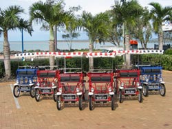 Beach Safaris - Surfers Gold Coast 1