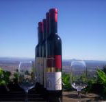 Mount Tamborine Winery  Homestead - Surfers Gold Coast