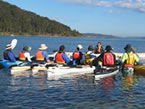 Sydney Harbour Kayaks - Surfers Gold Coast 2