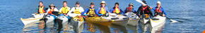 Sydney Harbour Kayaks - Surfers Gold Coast 3
