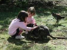 Urimbirra Wildlife Park - Surfers Gold Coast 1