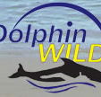 Dolphin Wild - Surfers Gold Coast