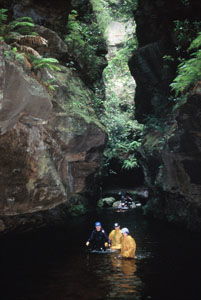 High And Wild Mountain Adventures - Surfers Gold Coast 1