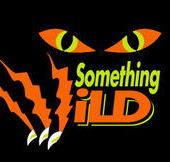 Something Wild - Surfers Gold Coast