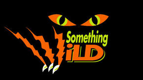 Something Wild - Surfers Gold Coast 0