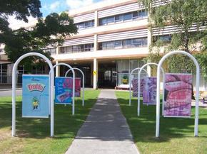 Cadbury Chocolate Factory Tour - Surfers Gold Coast 2