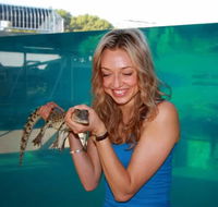 Crocosaurus Cove - Surfers Gold Coast