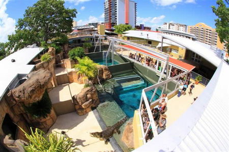 Crocosaurus Cove - Surfers Gold Coast 1