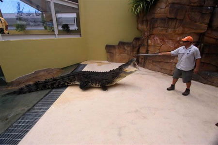 Crocosaurus Cove - Surfers Gold Coast 2