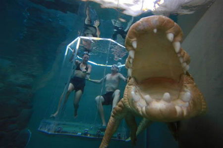 Crocosaurus Cove - Surfers Gold Coast 3