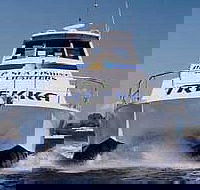 Sunshine Coast Fishing Charters - Surfers Gold Coast