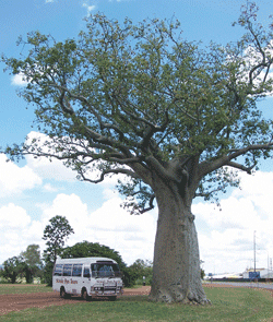 Kununurra Cruises - Surfers Gold Coast 1