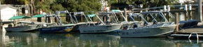 Brooklyn Central Boat Hire & General Store - Surfers Gold Coast 1