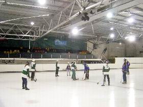 The Ice Arena - Surfers Gold Coast 2