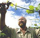 Barossa Experience Tours - Surfers Gold Coast