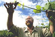 Barossa Experience Tours - Surfers Gold Coast 0