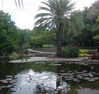 Brisbane City Botanic Gardens - Surfers Gold Coast
