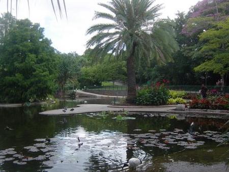 Brisbane City Botanic Gardens - Surfers Gold Coast 0