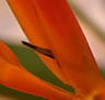 Zen Day Spa - Surfers Gold Coast