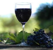 Lion Mill Vineyards - Surfers Gold Coast