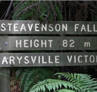 Stevensons Falls - Surfers Gold Coast