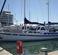 Coral Sea Dreaming Dive and Sail - Surfers Gold Coast