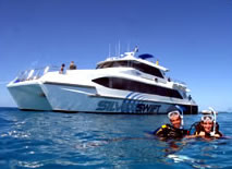 Silver Swift - Surfers Gold Coast 0