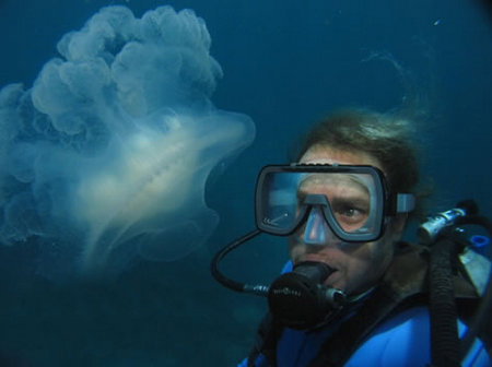 Silver Swift - Surfers Gold Coast 2