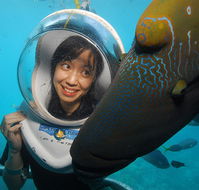 Sunlover Reef Cruises - Surfers Gold Coast