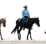 Ride the Beach - Surfers Gold Coast