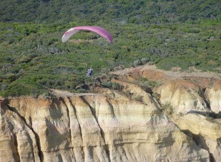 Airsports Adventure Flights - Surfers Gold Coast 2
