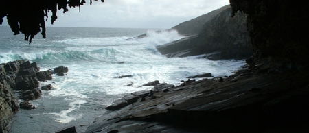 Banksia Adventures - Surfers Gold Coast 2