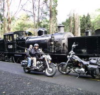 Andy's Harley Rides - Surfers Gold Coast
