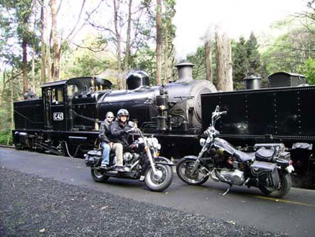 Andy's Harley Rides - Surfers Gold Coast 0
