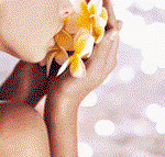 Tranquillity Spa  Beauty - Surfers Gold Coast