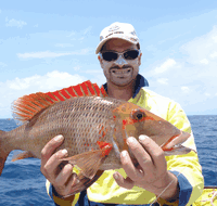 Carlo Fishing Charters - Surfers Gold Coast