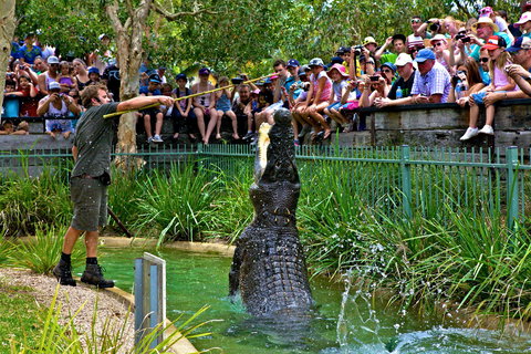 Australian Reptile Park - Surfers Gold Coast 4