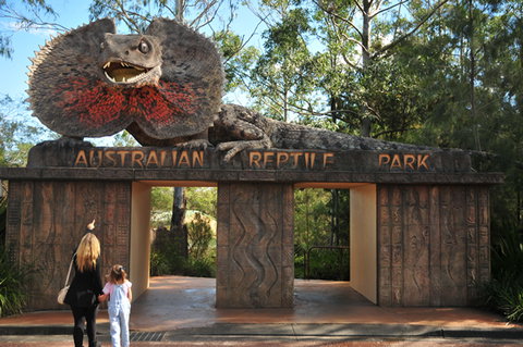 Australian Reptile Park - Surfers Gold Coast 5