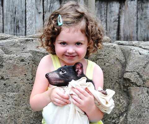 Australian Reptile Park - Surfers Gold Coast 8