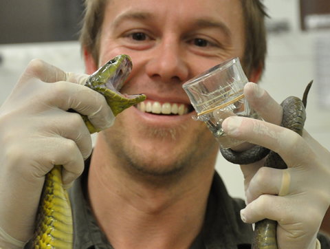 Australian Reptile Park - Surfers Gold Coast 9