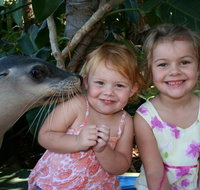 Dolphin Marine Magic - Surfers Gold Coast