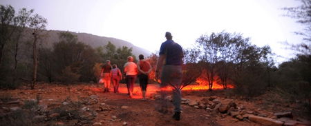 Alice Springs Desert Park - Surfers Gold Coast 4