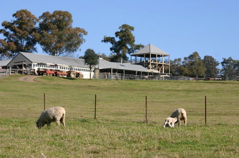 Calmsley Hill City Farm - Surfers Gold Coast 3