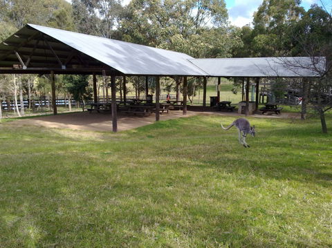 Calmsley Hill City Farm - Surfers Gold Coast 5