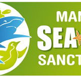 Manly SEA LIFE Sanctuary - Surfers Gold Coast