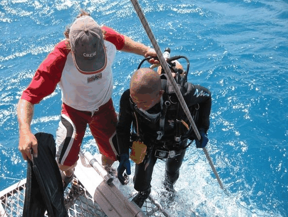 Big Cat Reality - Surfers Gold Coast 2