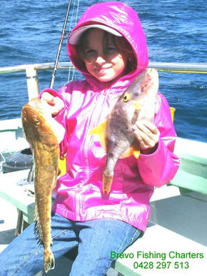 Bravo Fishing Charters - Surfers Gold Coast 5