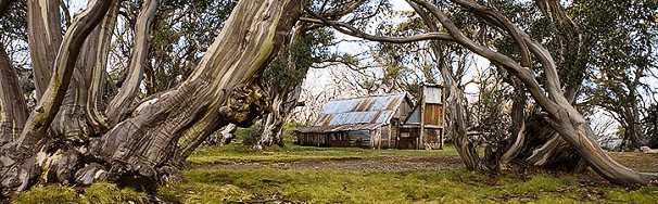 High Country Scenic Tours - Surfers Gold Coast
